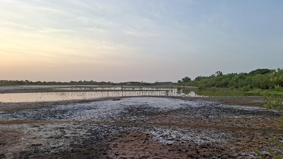 Sanyang